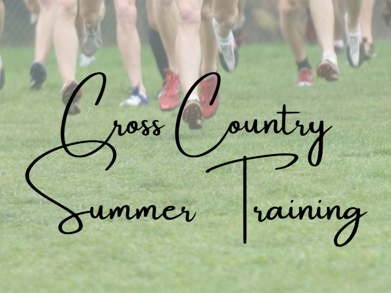 Comprehensive Guide to Summer Cross Country Training